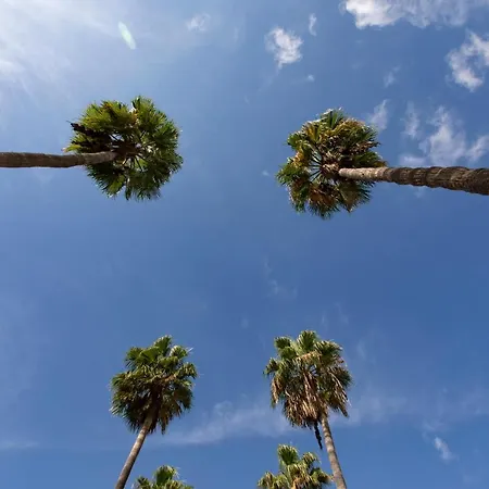 Luxury Boutique In Torres Del Sol 公寓 美洲海滩