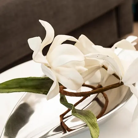 Luxury Boutique In Torres Del Sol * 美洲海滩